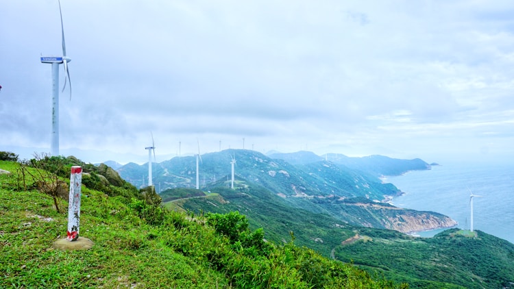 台山20个景区免费,台山十大旅游景点有哪些插图