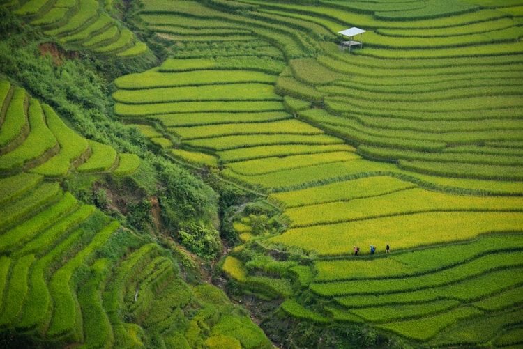 越南旅游安全吗 目前,越南旅游多少钱一个人6天5夜插图