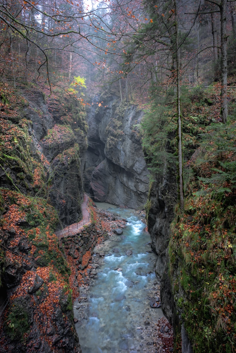 碧峰峡旅游线路攻略,碧峰峡旅游景点插图2