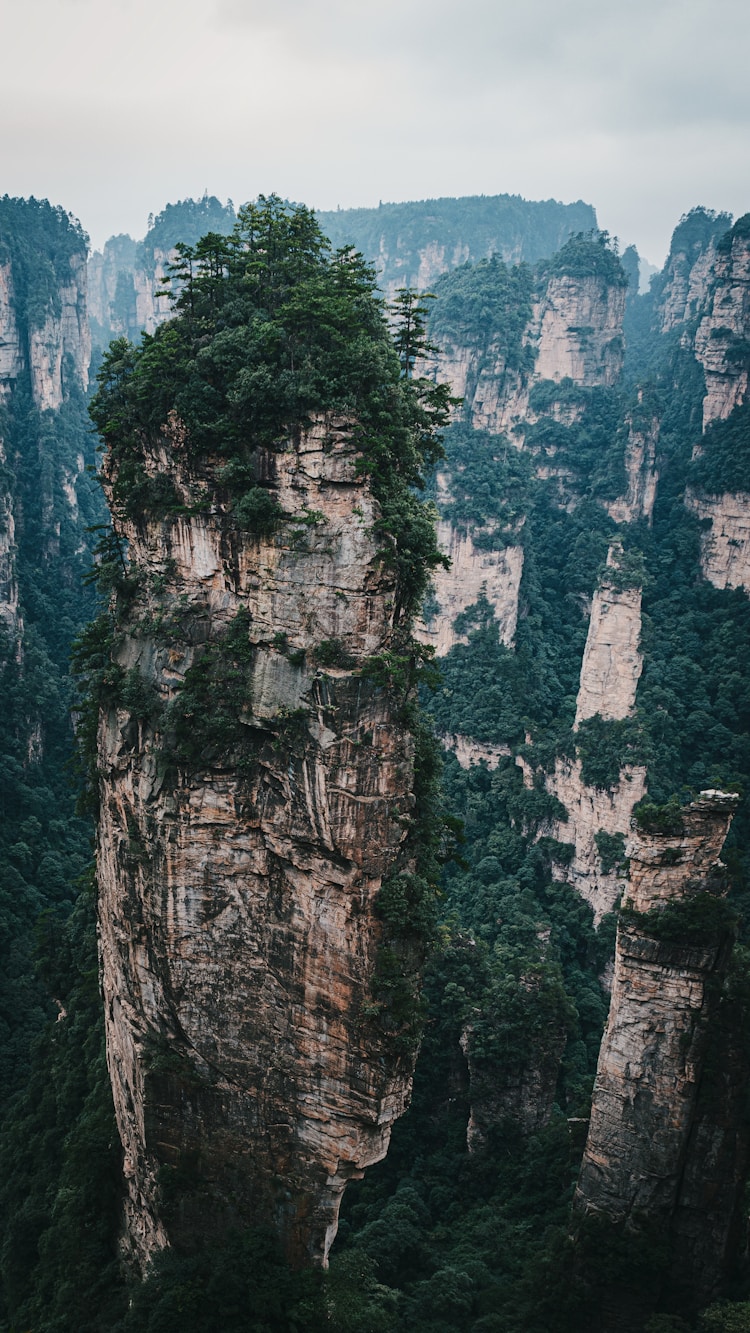 张家界有什么旅游景点推荐,张家界有什么旅游景点插图2