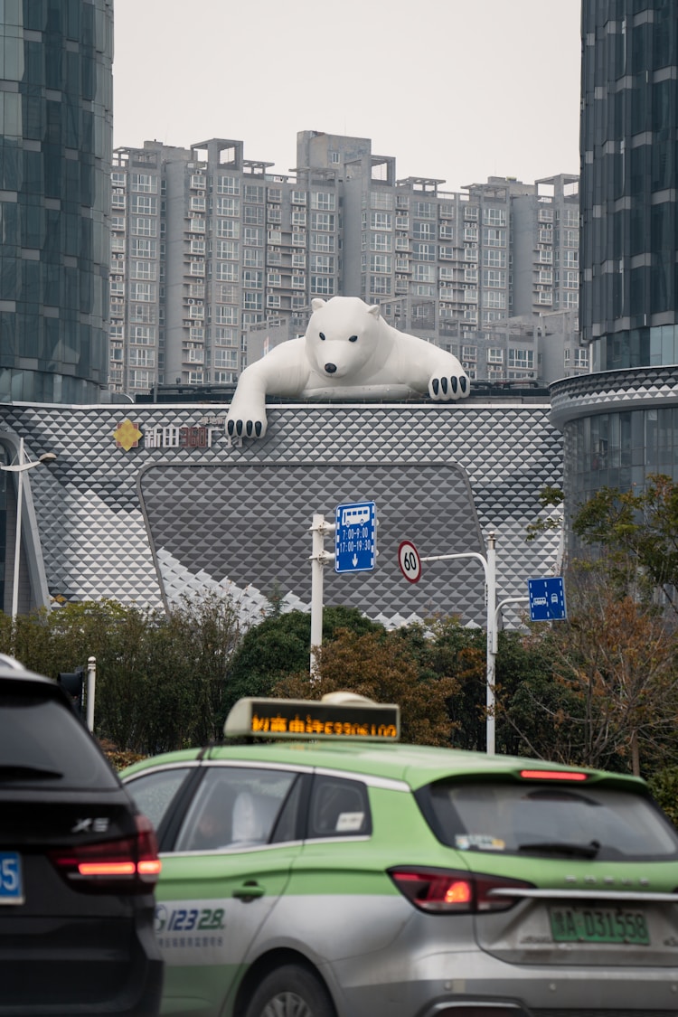 郑州旅游专列y55次列车,郑州旅游专列西北插图2