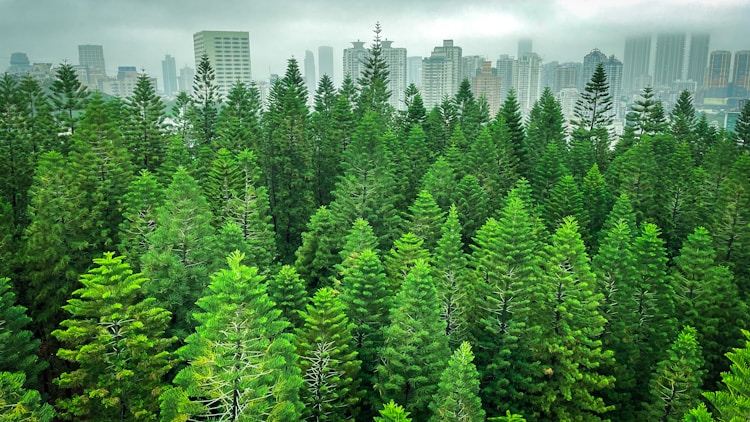 厦门鼓浪屿离哪个火车站近,厦门鼓浪屿景点介绍插图