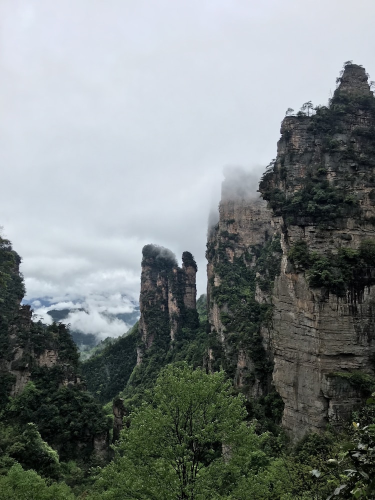 张家界旅游管理局电话,去张家界旅游管理插图