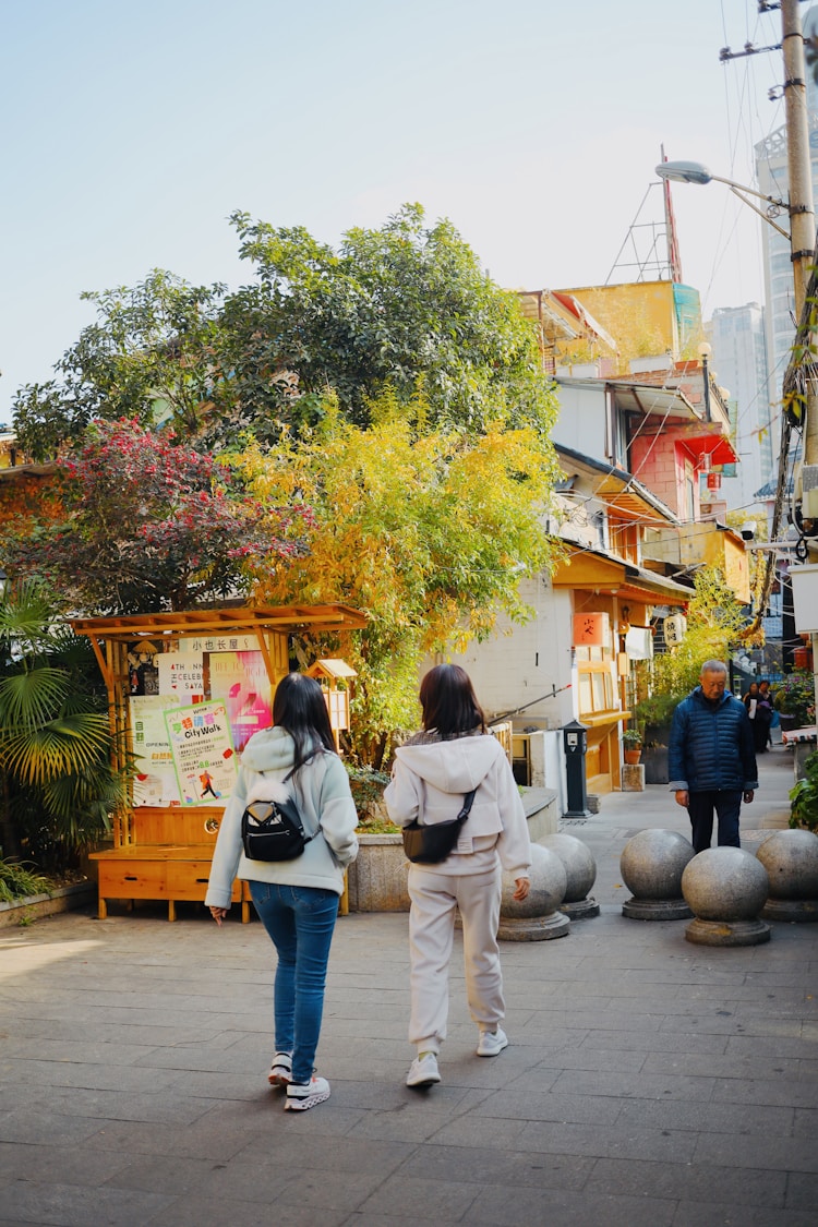 贵州旅游必去十大景点推荐,贵州旅游必去十大景点排名插图