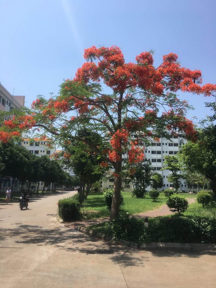 海口到北京旅游,海南海口旅游攻略必去景点插图