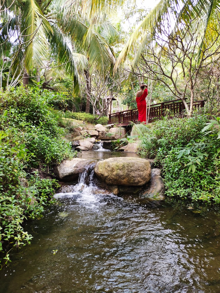 海南旅游岛规划,海南旅游岛建设插图2