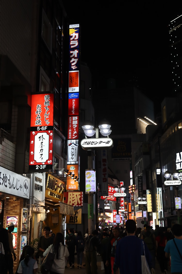 夜间旅游例子素材,夜间旅游的例子插图2