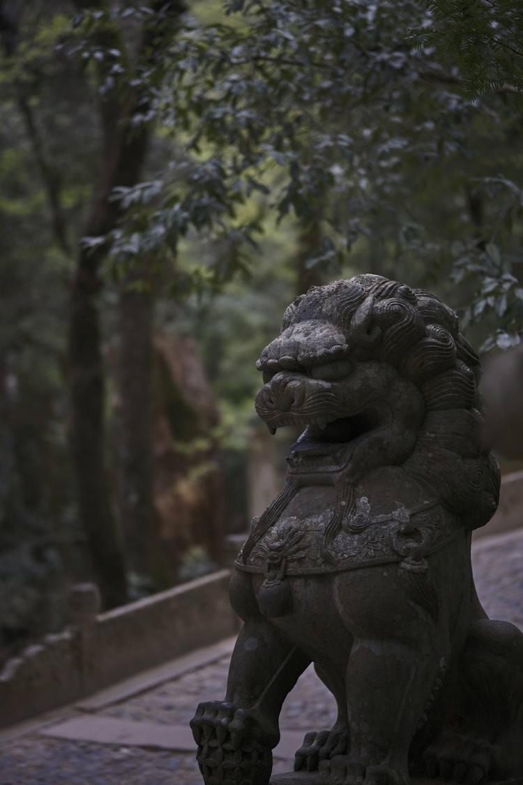 浙江台州旅游攻略,台州旅游攻略必去景点插图2