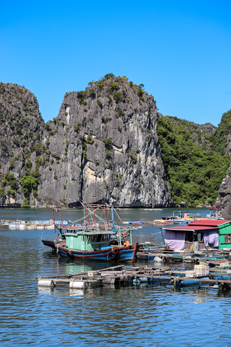 越南旅游需要签证吗最新消息,越南旅游多少钱一个人插图2