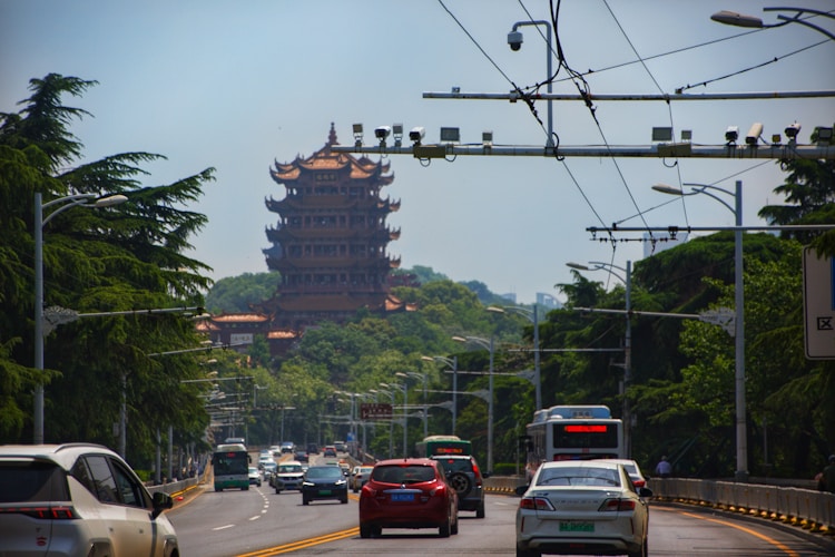 武汉市旅游局局长什么级别,武汉市旅游局局长张侠插图