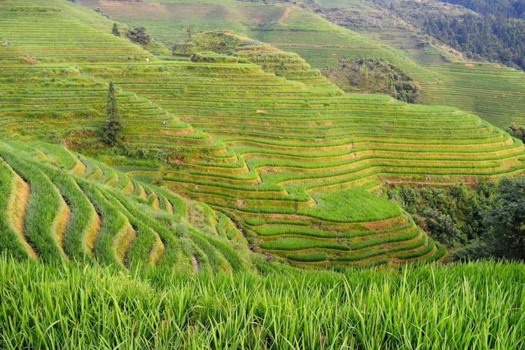 冬季桂林旅游必去景点,冬季桂林旅游插图