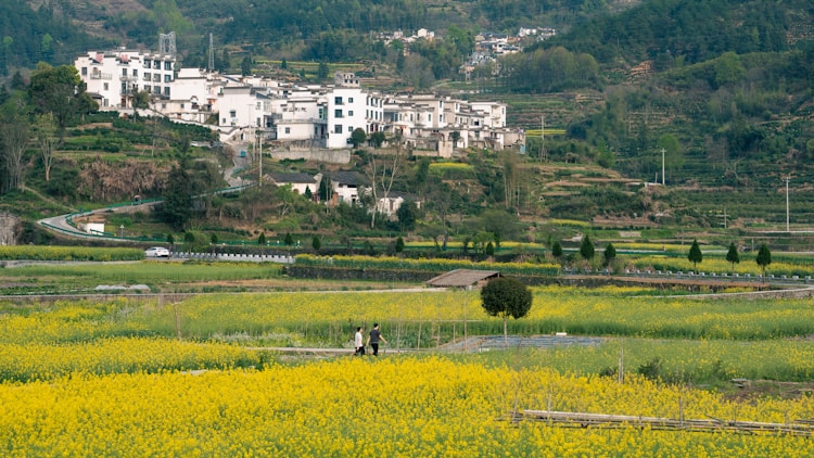 安徽大别山旅游风景区好玩吗,安徽大别山旅游攻略插图2