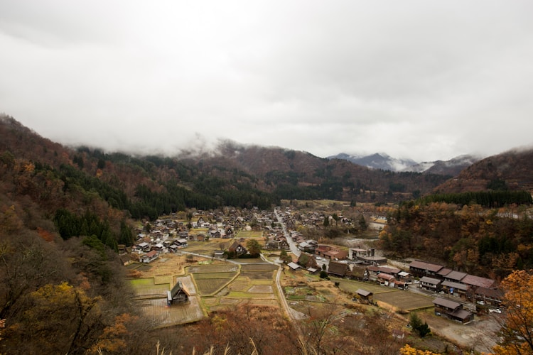 横沥镇旅游,横沥农庄渡口插图2