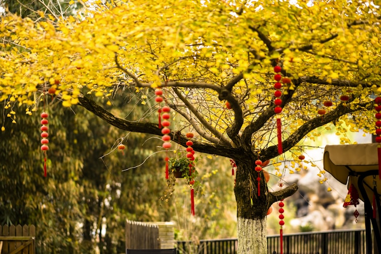 奈长兴旅游景点,长兴风景点插图2