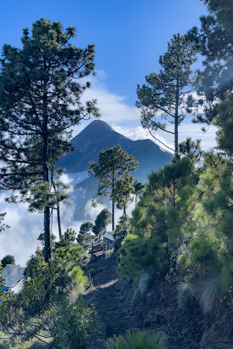 旅游总体规划生态环境保障,旅游总体规划编制的内容有哪些插图2