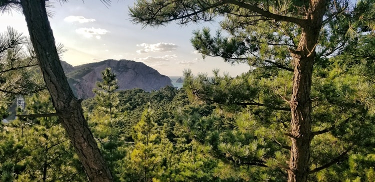 端午节烟台旅游最佳去处,端午节烟台旅游插图