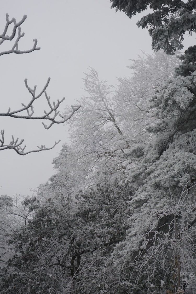 适合去庐山的月份,几月份去庐山旅游比较好插图