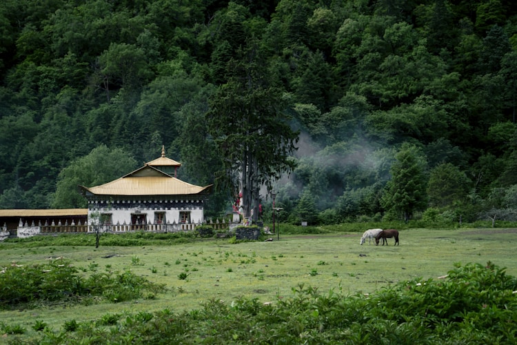 几月份去云南旅行最好,几月份去云南旅游最好插图